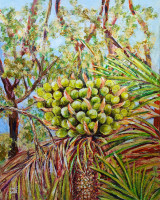 /album/photo-gallery-abstract-art/sago-palm-in-the-bushlands-jpg/